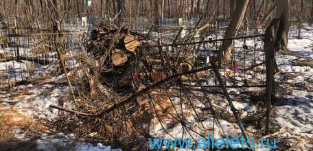 На старом городском кладбище в Ельце творится караул!
