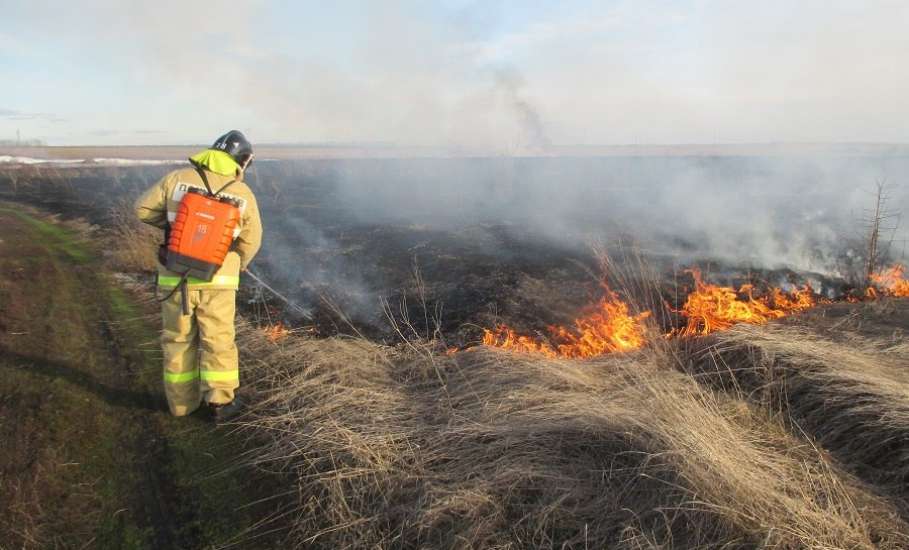 В Липецкой области начался пожароопасный сезон