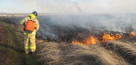 В Липецкой области начался пожароопасный сезон