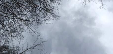 Игорь Артамонов сообщил, что в Краснинском районе сбили беспилотник