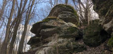Вокруг Ельца полно маршрутов выходного дня. И поезд «Воронеж-Липецк» группой из администраций рекламировать не нужно