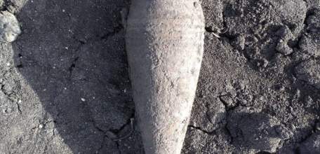 В Липецкой области спасатели уничтожили мину и снаряд времён ВОВ