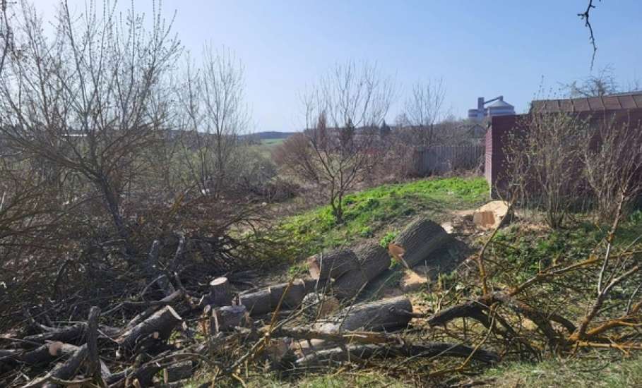 В районе разрушающегося профилактория «Сосна» активисты убрали мусор