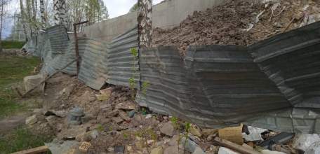 Липецкие " грызуны "