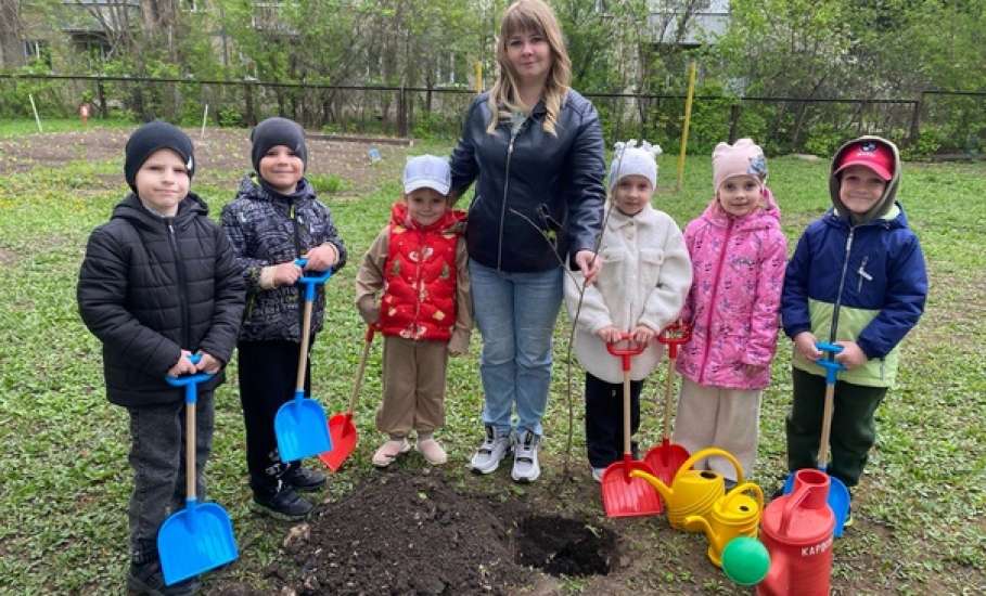 В период с 15 по 26 апреля 2024 года в Ельце прошла городская экологическая акция «Посади деревце!»