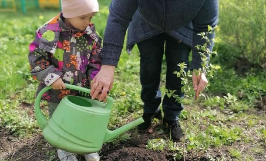 В период с 15 по 26 апреля 2024 года в Ельце прошла городская экологическая акция «Посади деревце!»