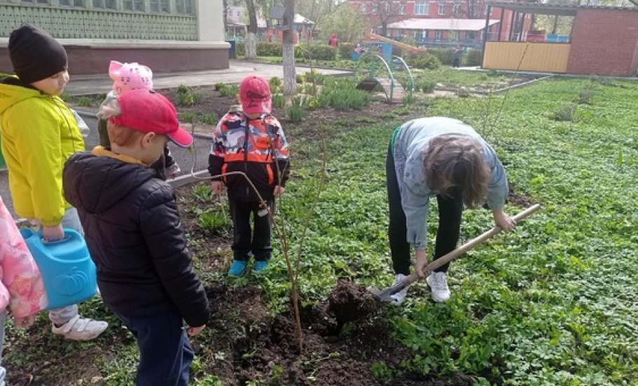 В период с 15 по 26 апреля 2024 года в Ельце прошла городская экологическая акция «Посади деревце!»