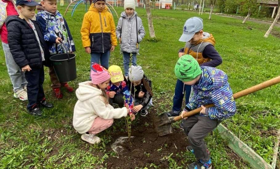 В период с 15 по 26 апреля 2024 года в Ельце прошла городская экологическая акция «Посади деревце!»