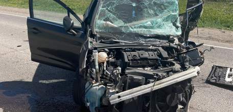 В Елецком районе в лобовом столкновении погибли два человека