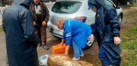 В Измалковском районе спасатели пришли на помощь водителю, которому стало плохо в пути