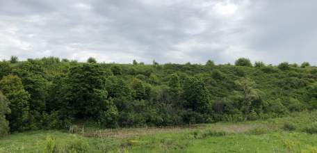 Экс-главу сельсовета в Елецком районе обвиняют в продаже 230 гектаров земли по заниженной цене