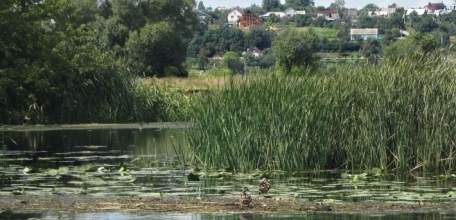 В Подгорном отец достал из пруда тело утонувшего сына