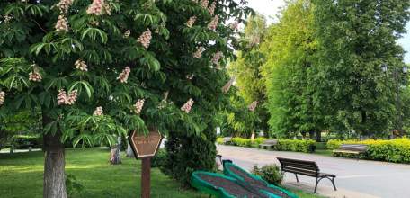 В Ельце украли два автомобиля и сдали их в скупку металлолома