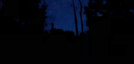 На старом городском кладбище Ельца сегодня отсутствует уличное освещение!