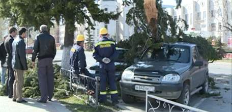 Обрушившийся на Елец ураганный ветер повалил несколько деревьев и сорвал часть кровли с табачной фабрикой