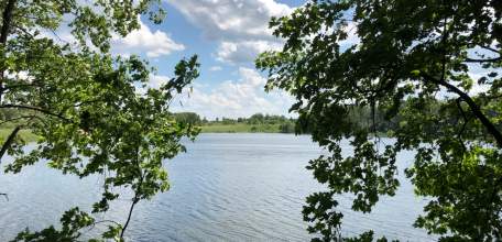 От укусов клещей в Липецкой области пострадали 1653 человека