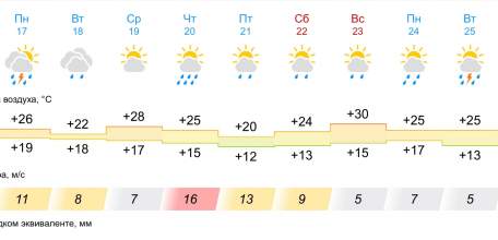 В ближайшие 10 дней в Ельце ожидается сезон дождей!