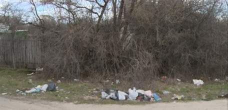 &laquo;Моя дача с краю, ничего не знаю&raquo;. Примерно так садоводческие товарищества относятся к санитарному состоянию прилегающей территории