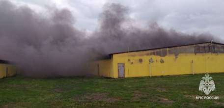 В селе Преображенье выгорел свинокомплекс — погибли все свиноматки с поросятами