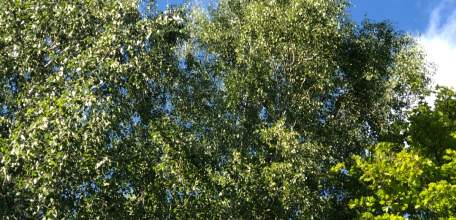 Беспилотники ВСУ устроили массированную атаку на Новолипецкий металлургический комбинат!