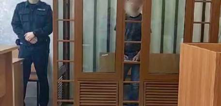 В Липецкой области местный житель признан виновным в особо тяжких преступлениях, совершенных в 2005 году