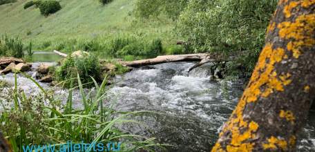 В Елецком районе нашли тело 16-летнего подростка