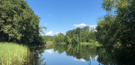 Сегодня в Ельце жара! +35!