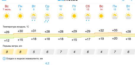 Солнечная погода ждёт ельчан в ближайшие 10 дней!