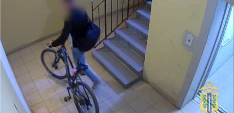 В ЛИПЕЦКОЙ ОБЛАСТИ ПОЛИЦЕЙСКИЕ В ТЕЧЕНИЕ ЧАСА РАСКРЫЛИ КРАЖУ ВЕЛОСИПЕДА