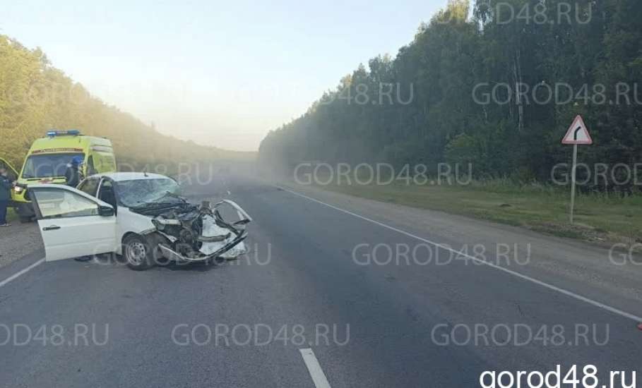 В пригороде Ельца «Лада» отправила грузовик «Мерседес» в кювет