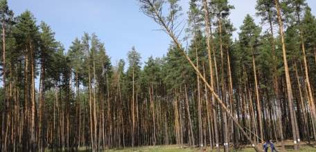 Штормовое предупреждение объявили в Липецкой области из-за жары!