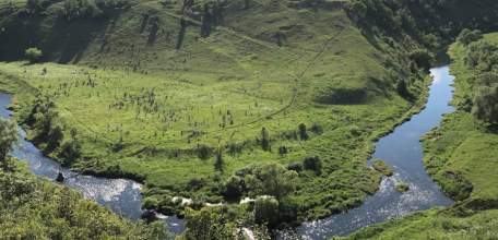 В Елецком районе из воды достали двадцатого утопленника среди всех утонувших за этот сезон в Липецкой области