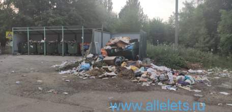 В микрорайоне Новые дома в Ельце разрастается свалка мусора у детского сада! Жители в шоке!