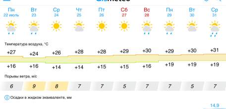 Погода в Ельце порадует комфортом в ближайшие 10 дней