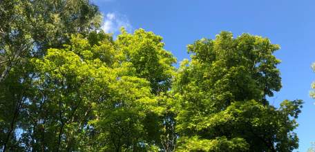 Под утро в Ельце завыла сирена! Сигнал воздушной опасности!