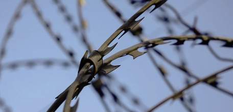 21-летний ельчанин украл и продал государственные награды