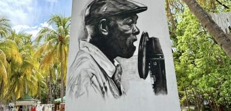 Из Елецкого района выпроводили троих кубинцев