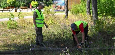 В ЕЛЬЦЕ В ПАРКЕ 40-ЛЕТИЯ ОКТЯБРЯ НАЧАЛАСЬ САНИТАРНАЯ ОПИЛОВКА ДЕРЕВЬЕВ