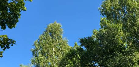 Внимание! На территории Липецкой области вводится режим воздушной опасности!