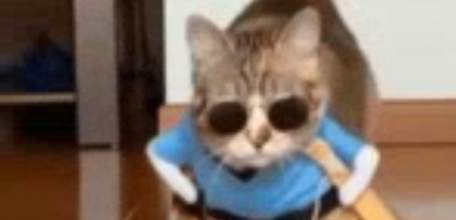 В Ельце пройдёт показ мод