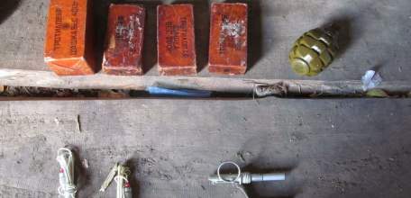 В Елецком районе подозреваемый в незаконном хранении тротиловых шашек, гранаты и электродетонаторов заключен под стражу