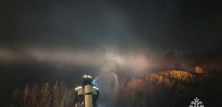 СПЕЦИАЛИСТЫ ПОДОЗРЕВАЮТ ПОДЖОГ В СИТУАЦИИ С ГОРЯЩИМИ ИЛОВЫМИ ПОЛЯМИ В ЕЛЬЦЕ