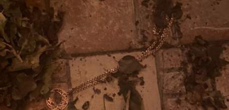 В Елецком районе задержана подозреваемая в присвоении золотых изделий оставленных в бане