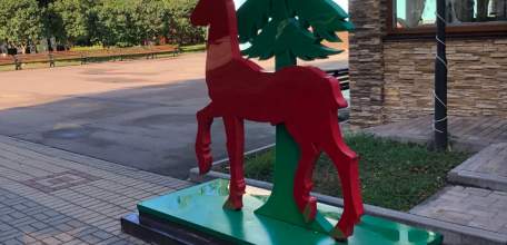 23-летняя девушка решила заработать на инвестициях и лишилась 1,2 миллиона рублей