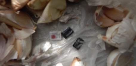 По чесноку: в головках растения спрятали сим-карты для осужденных в Ельце