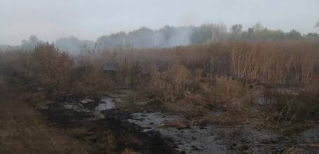 Центрально-Черноземное управление Росприроднадзора провело выездное обследование на территории возгорания иловых площадок в г. Ельце Липецкой области