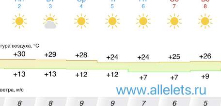 Чудесная солнечная погода ожидает ельчан на следущей неделе!