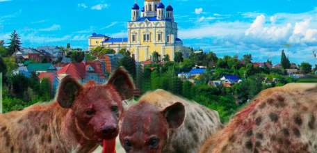 Вахтовики - гиены!