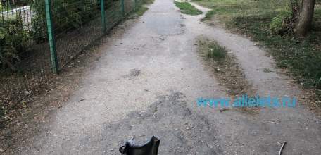 Ельцу нужен новый мэр!