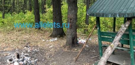 Что за свиньи засоряют места отдыха жителей Ельца и Елецкого района?!